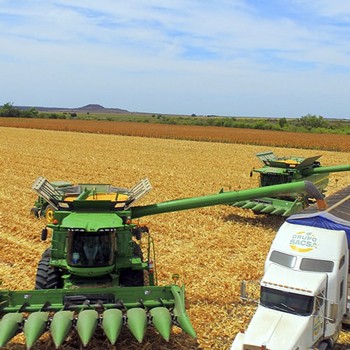 imagen artículo imagen artículo