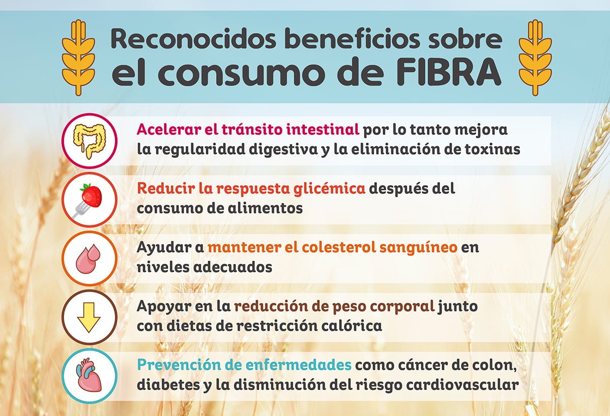 Reconocidos beneficios sobre el consumo de fibra