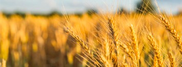 Te escuchamos Te escuchamos