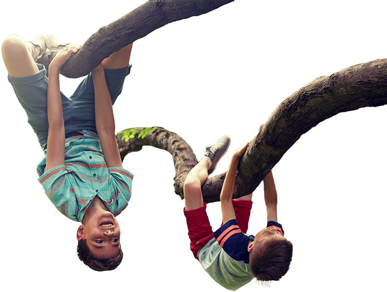 Niños trepando un árbol